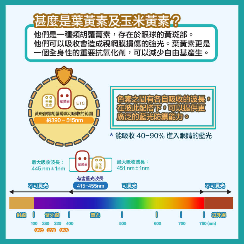 什麼是葉黃素？
